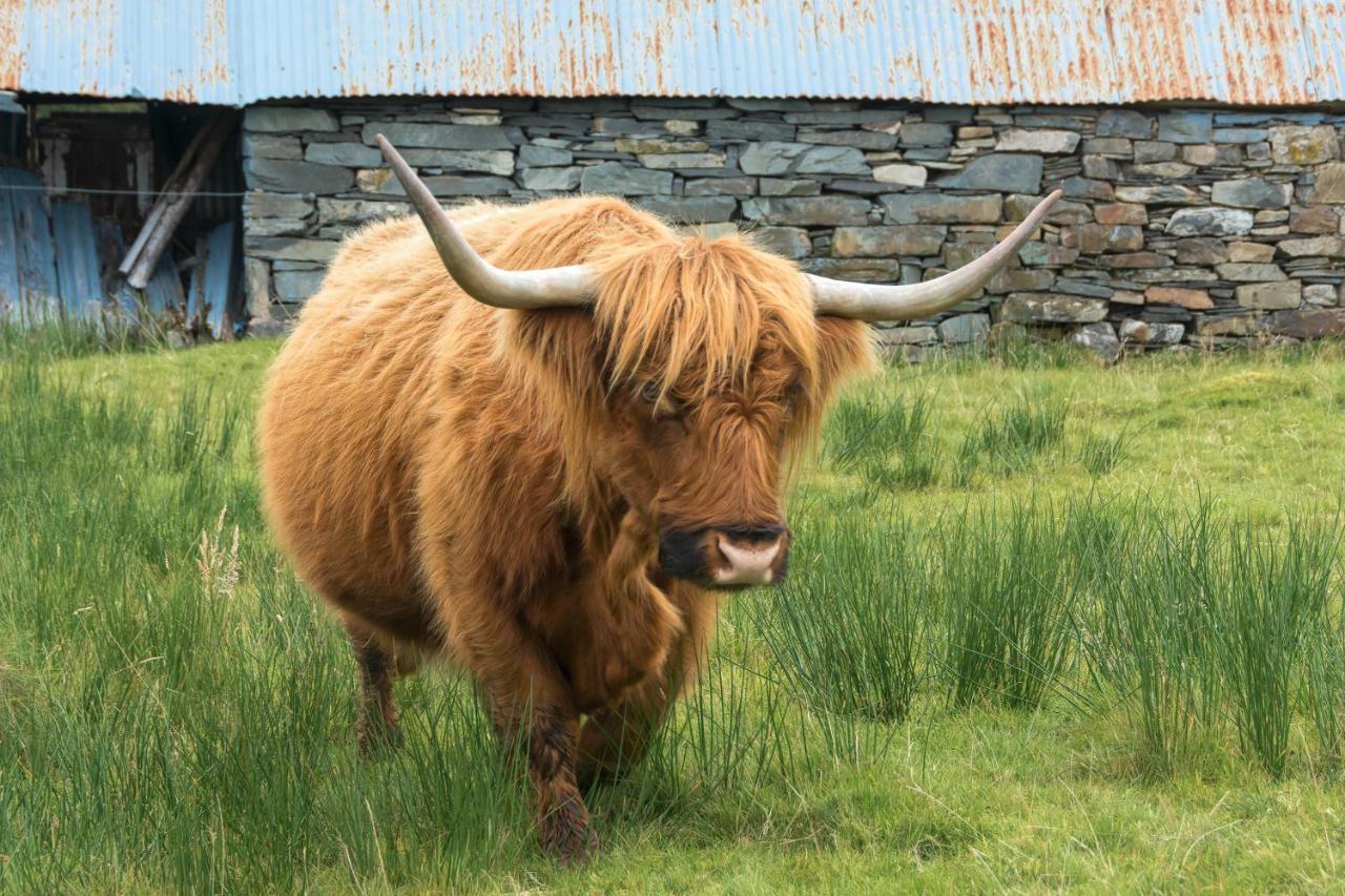 Lann Dearg Studios Invermoriston Luaran gambar
